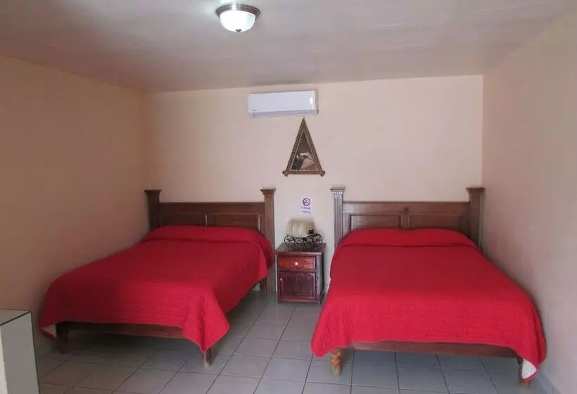 Отель Del Centro