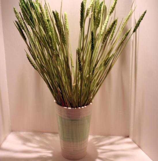 ペンション The Lindum