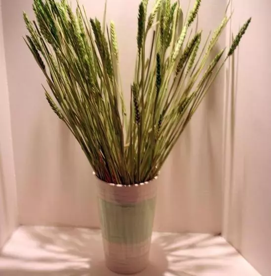 پانسیون The Lindum