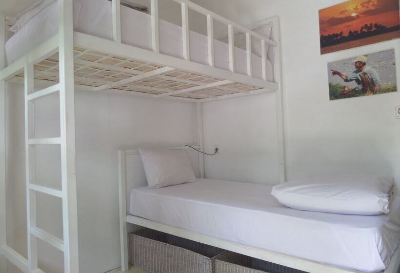 The Island Hotel Bali   Hostel