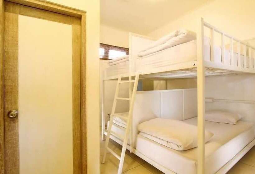 The Island Hotel Bali   Hostel