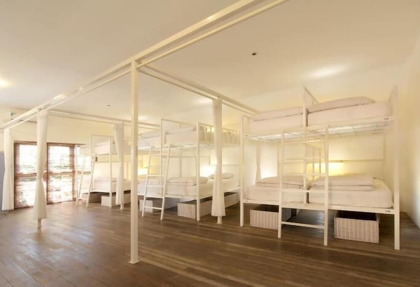 The Island Hotel Bali   Hostel