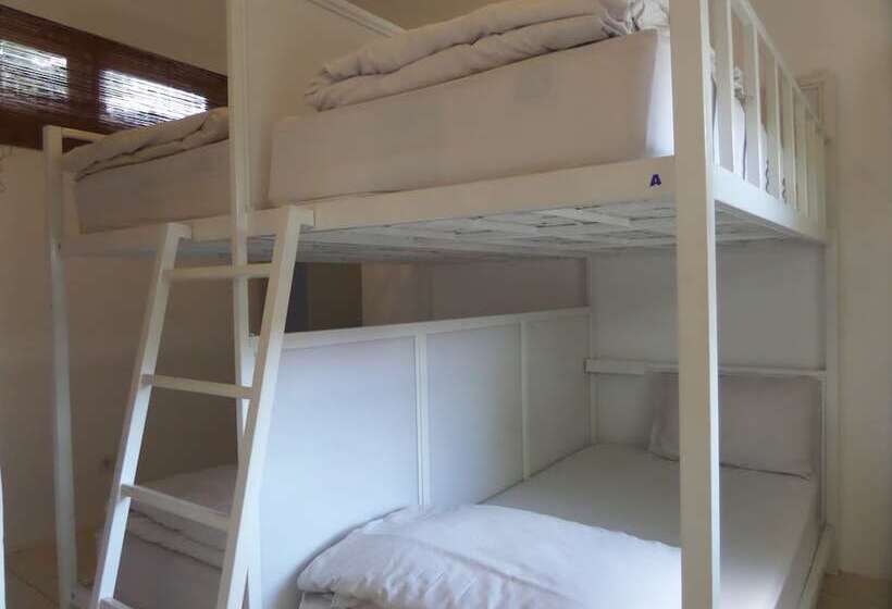 The Island Hotel Bali   Hostel