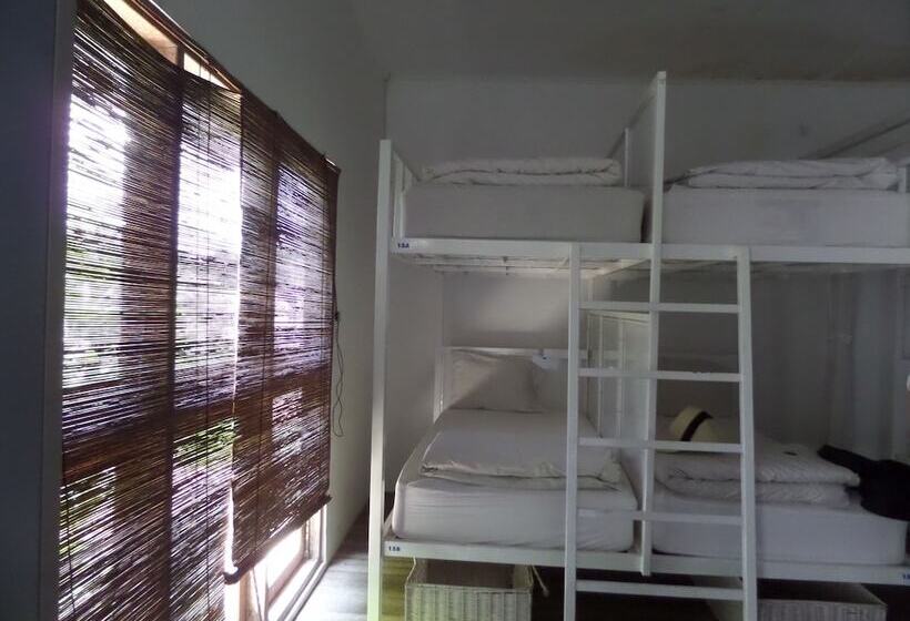 The Island Hotel Bali   Hostel