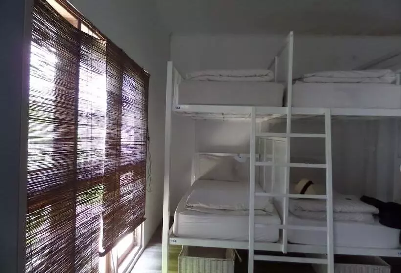 The Island Hotel Bali   Hostel