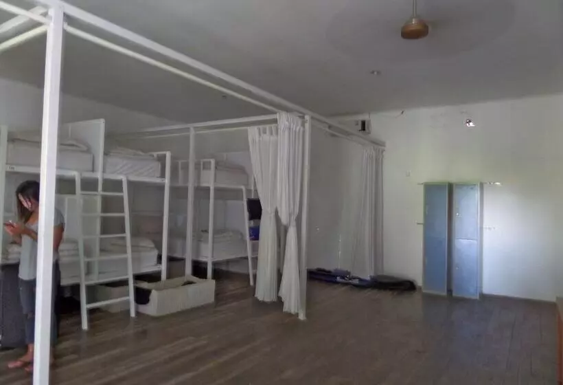 The Island Hotel Bali   Hostel