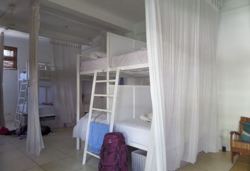 The Island Hotel Bali   Hostel