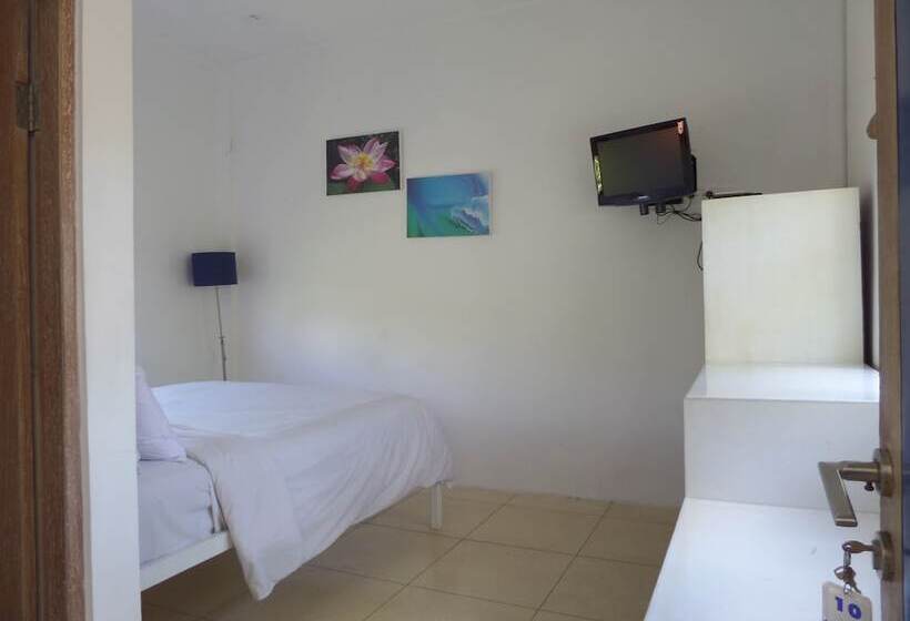 The Island Hotel Bali   Hostel
