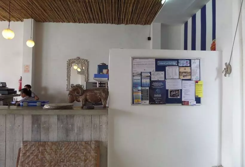 The Island Hotel Bali   Hostel