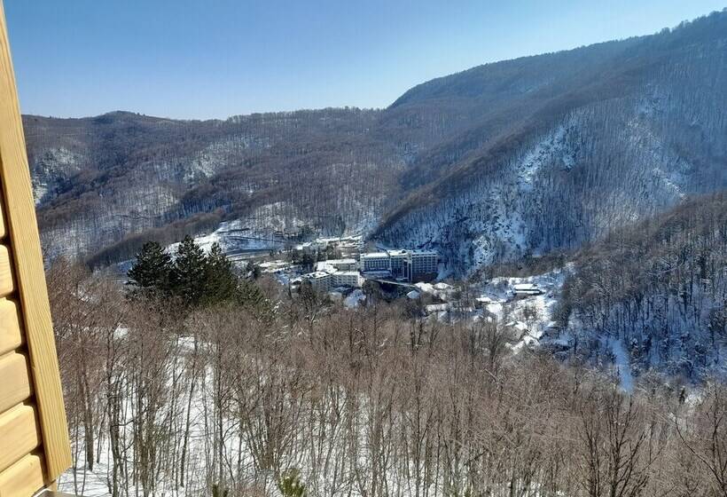 Bed and Breakfast Turkish Retreat