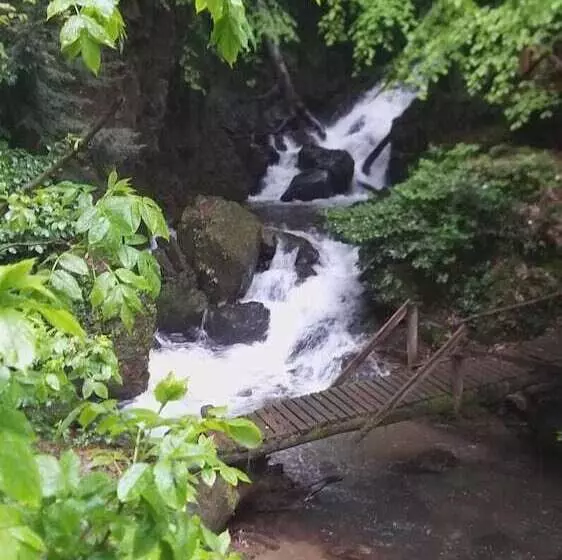 ベッドアンドブレックファースト Turkish Retreat