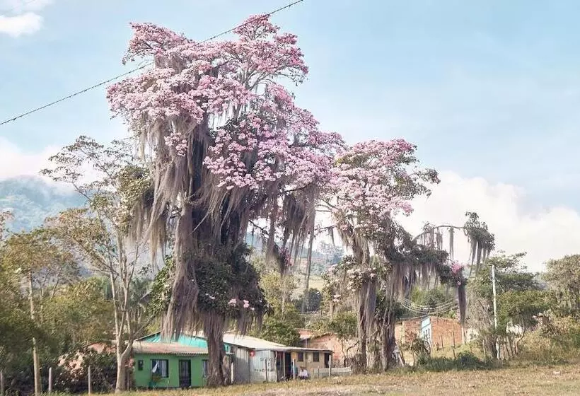 ホテル Macúa