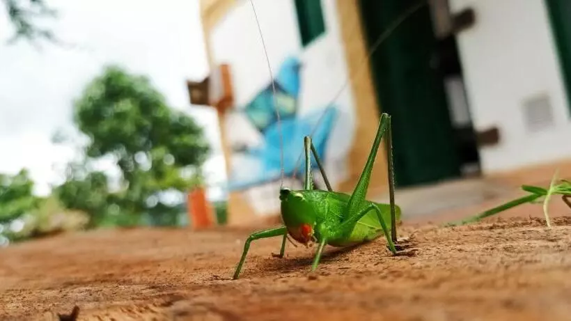 ホテル Macúa