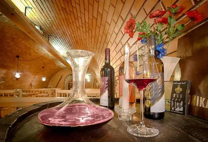 ペンション Penzión Rodinné Vinárstvo ďurík