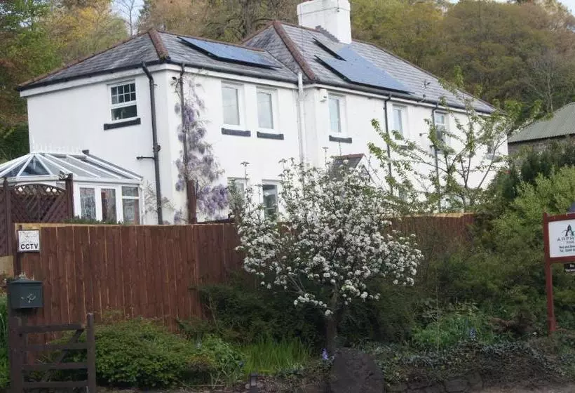 Arfryn House Bed And Breakfast