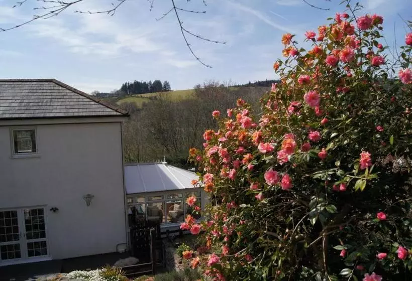 Arfryn House Bed And Breakfast