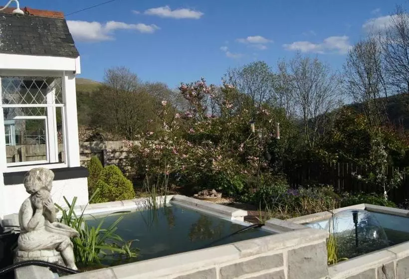 Arfryn House Bed And Breakfast