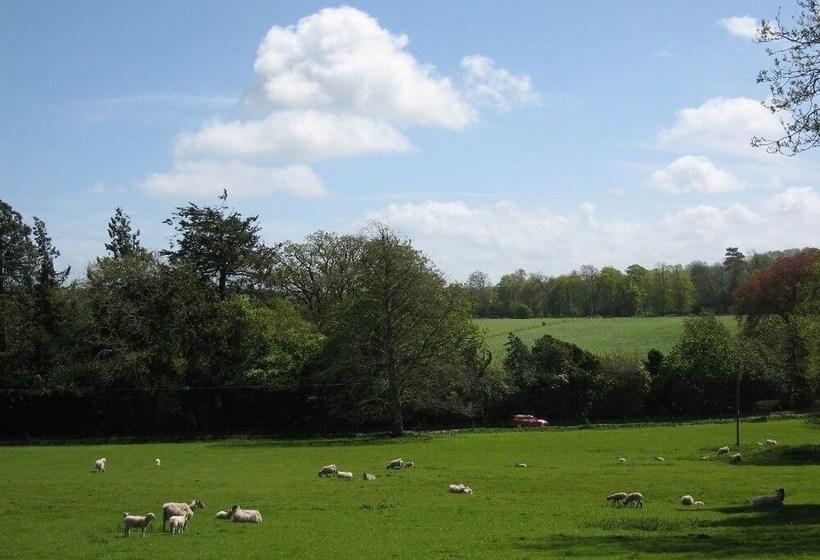 مبيت وإفطار 32 The Green