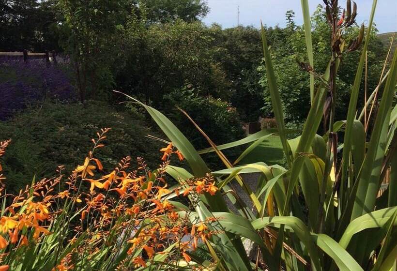 Bed and Breakfast Boscastle House