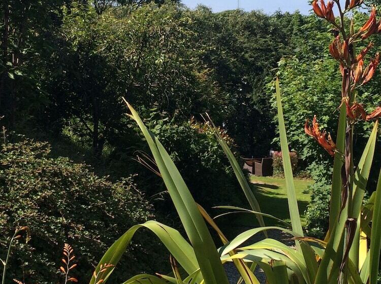 Bed and Breakfast Boscastle House