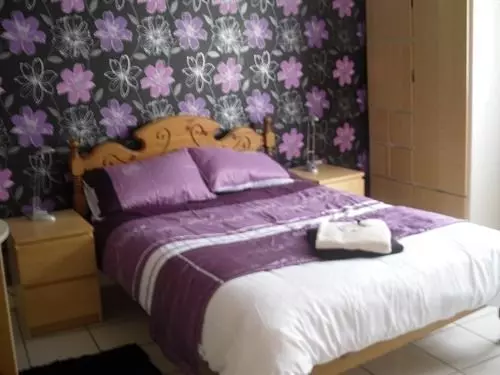 Bed and Breakfast Llanion Lodge