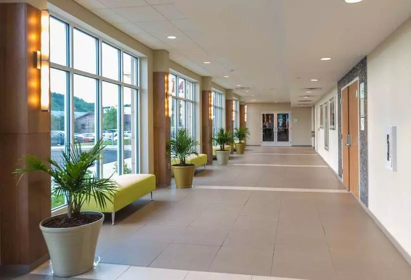 ホテル Holiday Inn Morgantown University Area, An Ihg