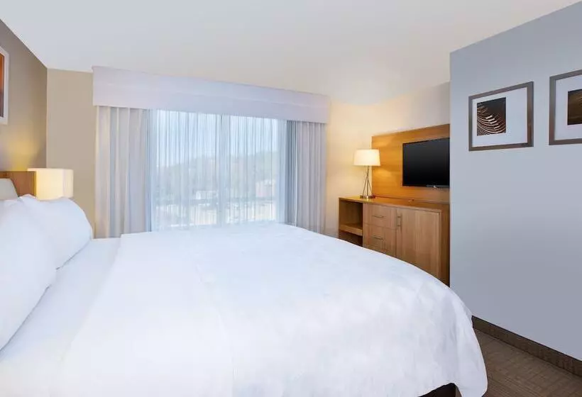 ホテル Holiday Inn Morgantown University Area, An Ihg