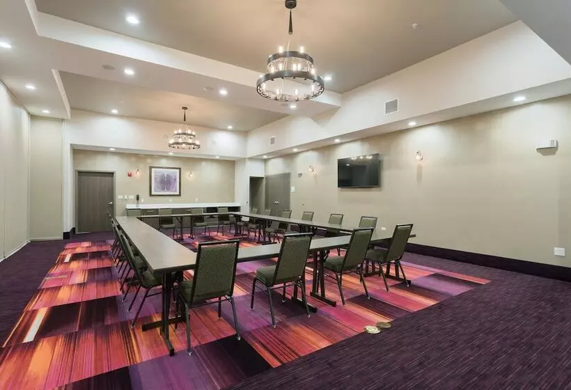 호텔 Holiday Inn San Marcos Convention Center, An Ihg