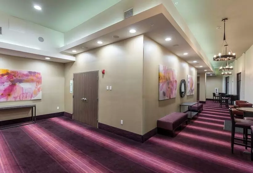 호텔 Holiday Inn San Marcos Convention Center, An Ihg