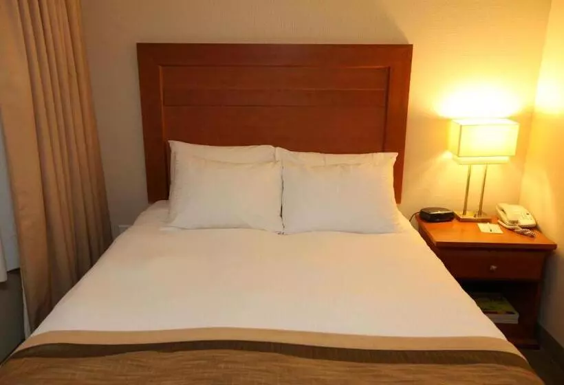 호텔 St. Albert Inn & Suites