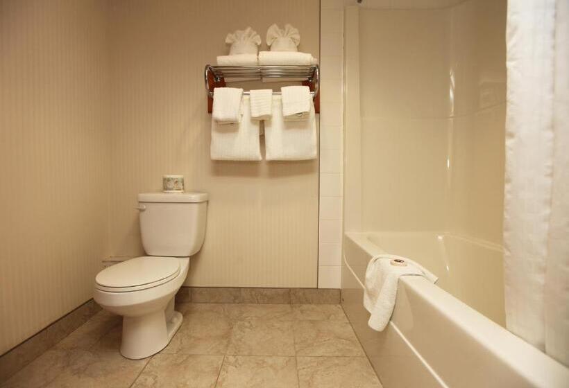 ホテル St. Albert Inn & Suites