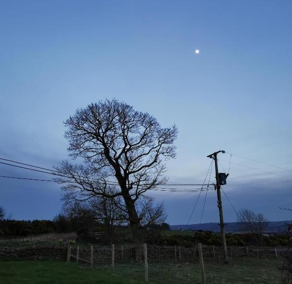 酒店 The Manor House Inn