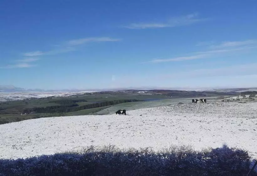 هتل The Manor House Inn