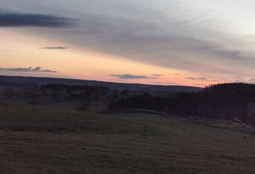 酒店 The Manor House Inn