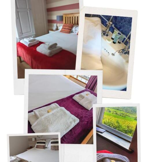 酒店 The Manor House Inn