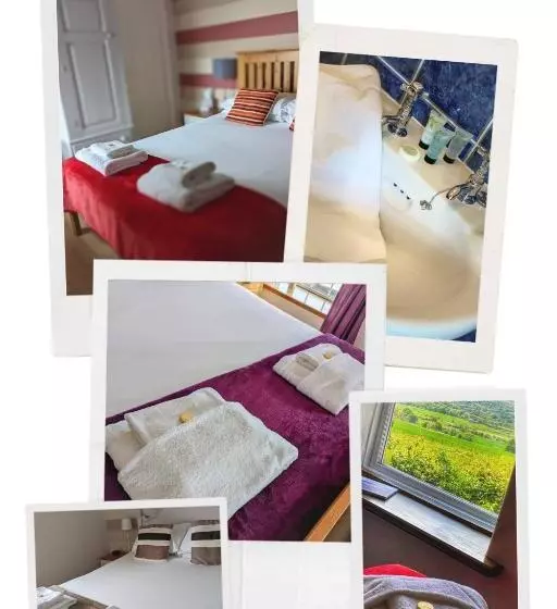 هتل The Manor House Inn