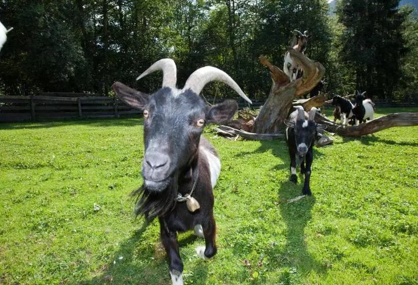 پانسیون Berghof