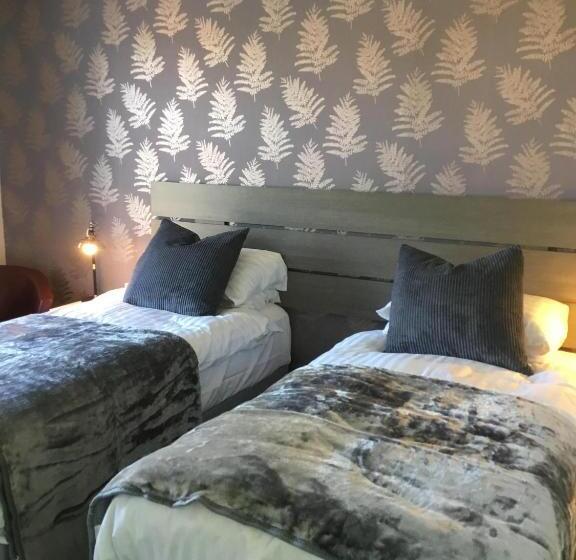 بنسيون Dene House