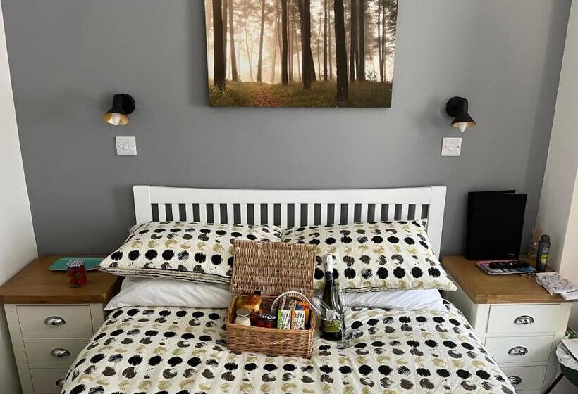 بنسيون St Georges