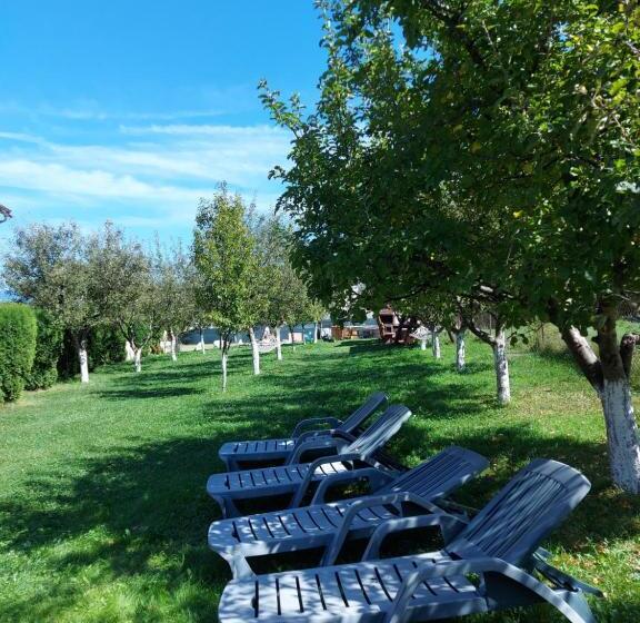 تختخواب و صبحانه Pensiunea La Mogan