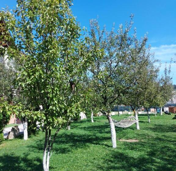 تختخواب و صبحانه Pensiunea La Mogan