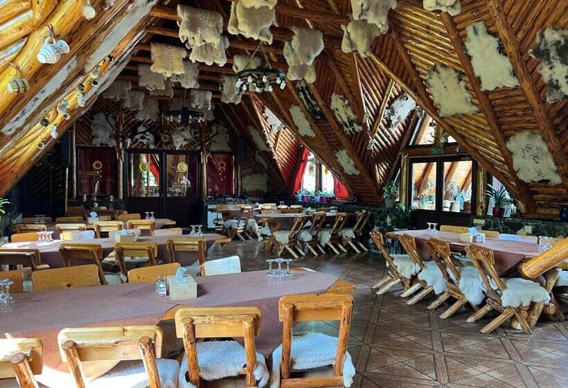 تختخواب و صبحانه Pensiunea La Mogan