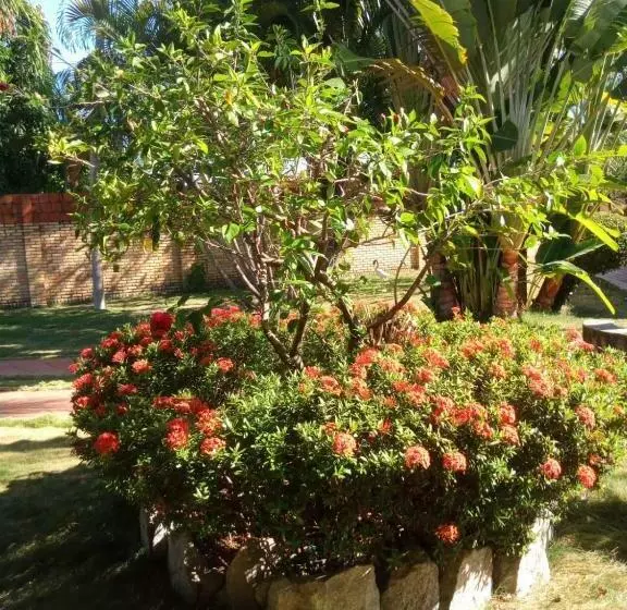 ホテル Pousada Paraíso Das Falésias