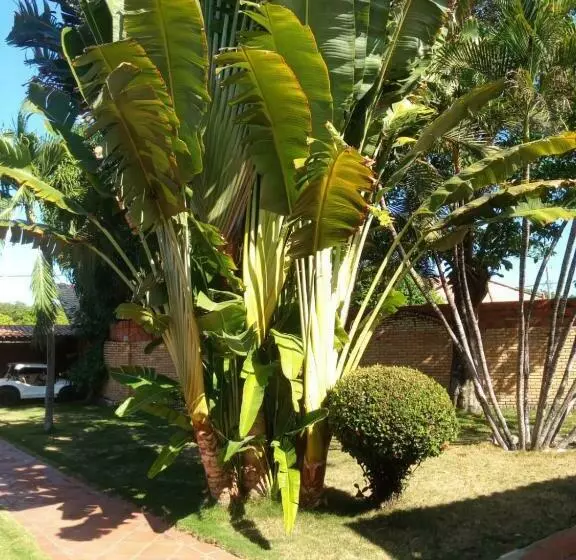 ホテル Pousada Paraíso Das Falésias