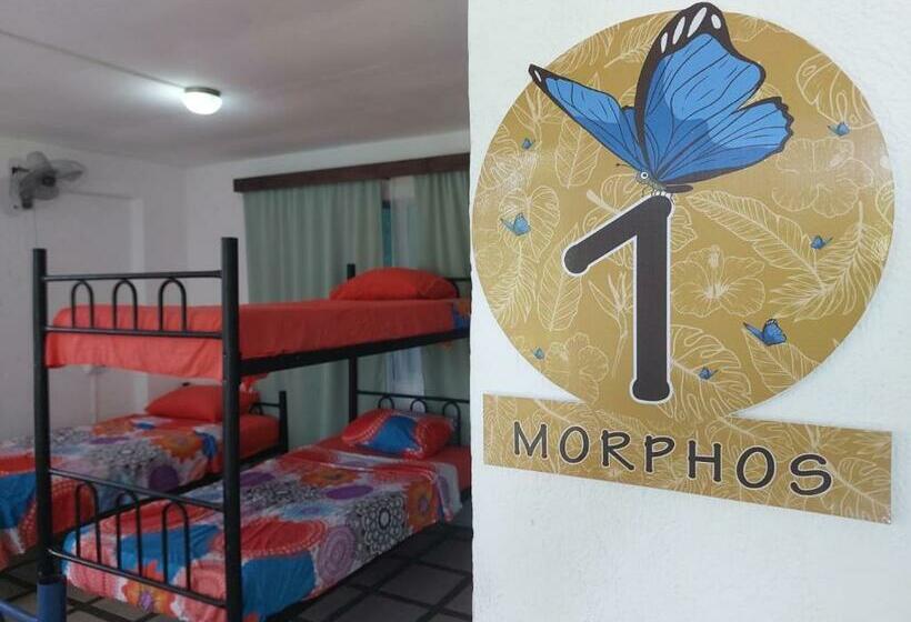 Pura Vida Hostel Manuel Antonio