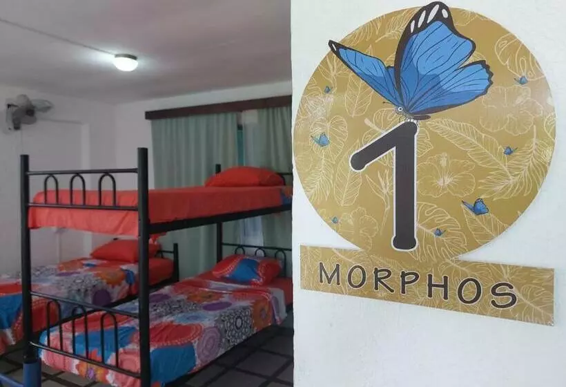 Pura Vida Hostel Manuel Antonio