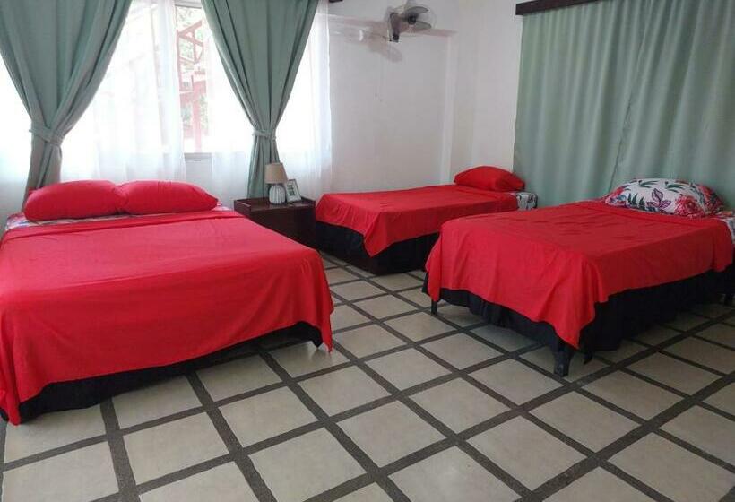 Pura Vida Hostel Manuel Antonio