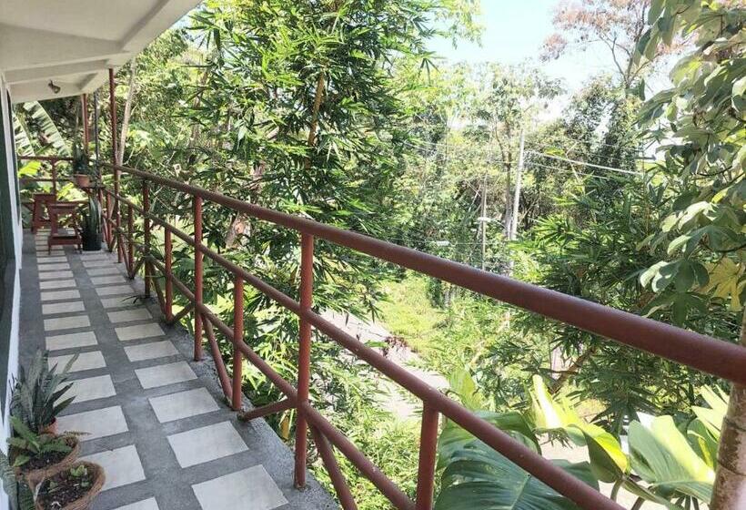 Pura Vida Hostel Manuel Antonio