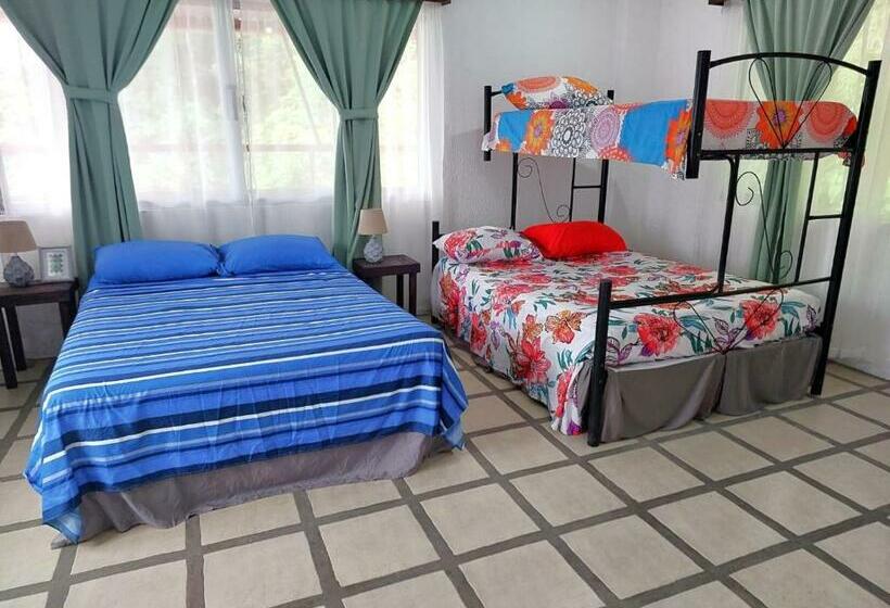 Pura Vida Hostel Manuel Antonio