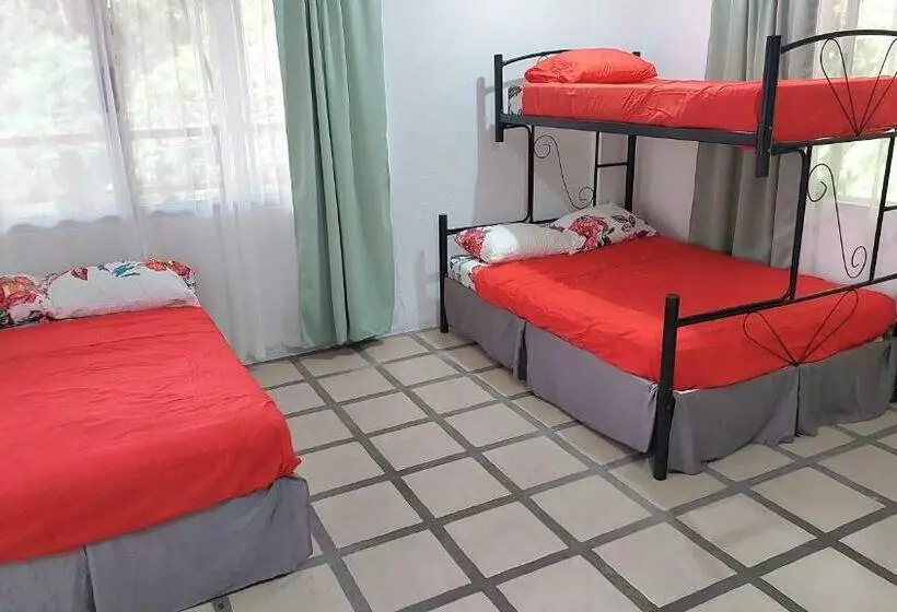 Pura Vida Hostel Manuel Antonio